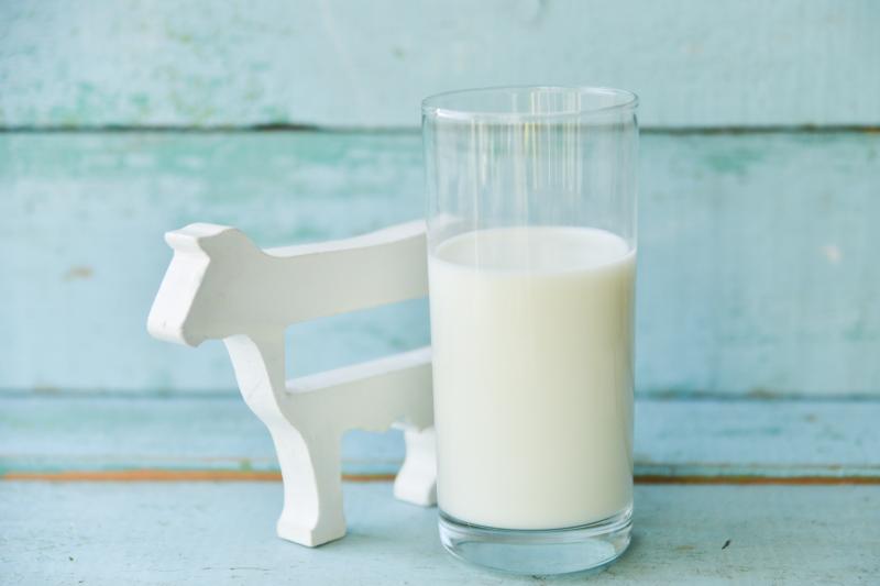 Экспорт молока вырос на 4%